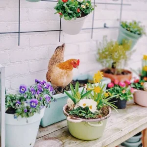 Giftige planten voor je kippen.