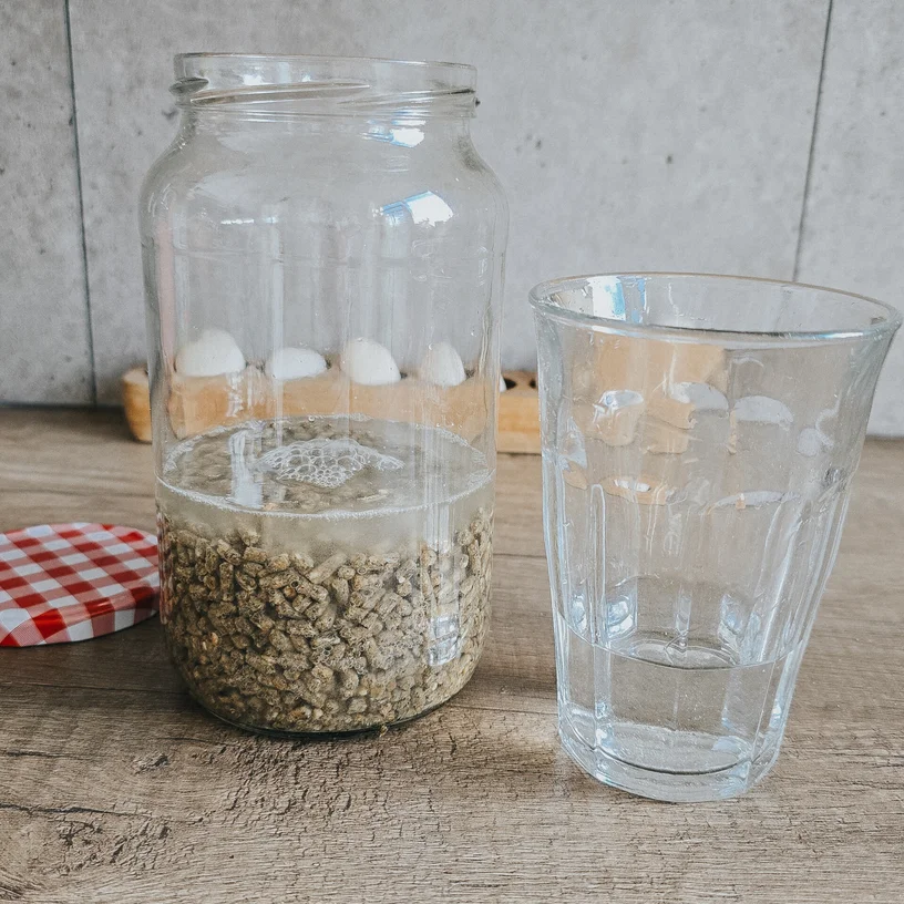 Gefermenteerd voer voor kippen