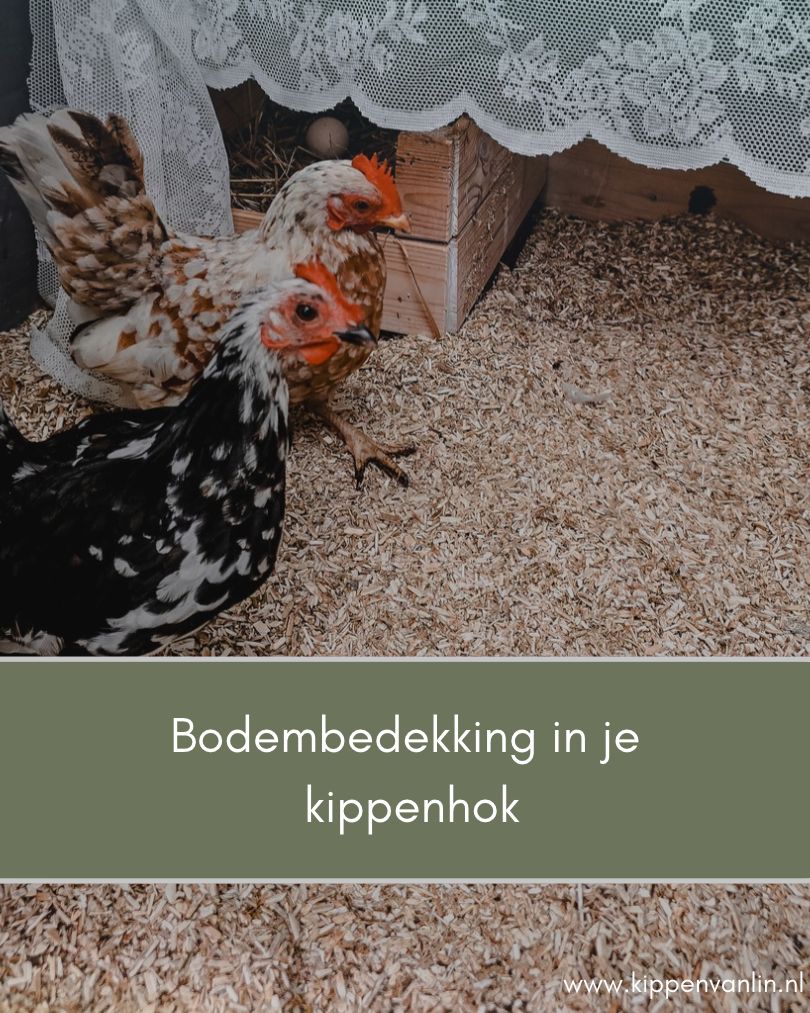 Bodembedekking in je kippenhok
