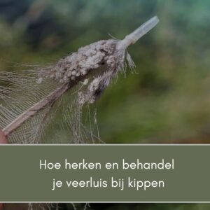 Veerluis en kopluis bij kippen