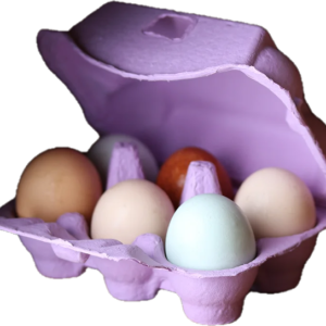 Lila eierdozen voor 10 eitjes