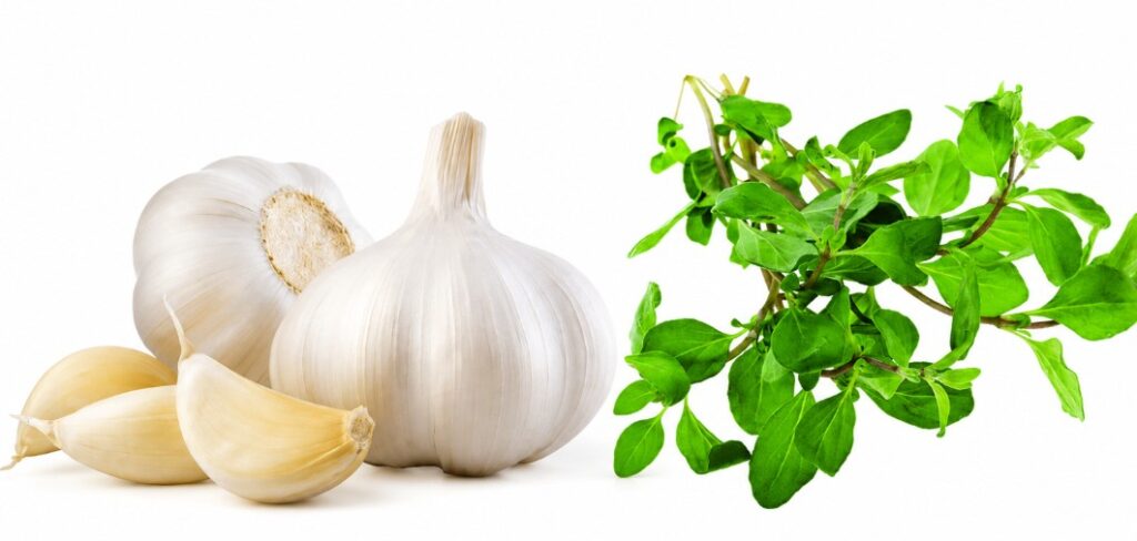 Natuurlijke middelen coccidiose