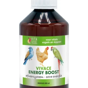Vivace energy boost - Vitavogel