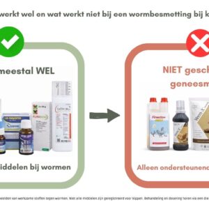 Kippen ontwormen: Welke middelen werken echt?