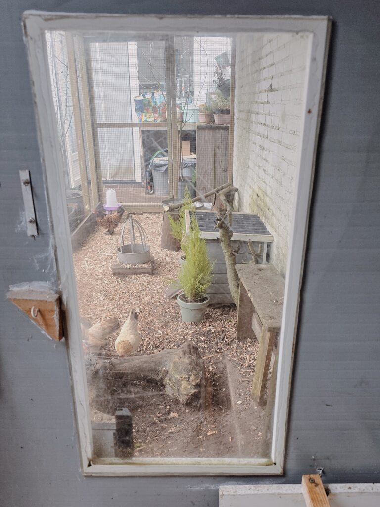 Raam in keter tuinhuis als kippenhok