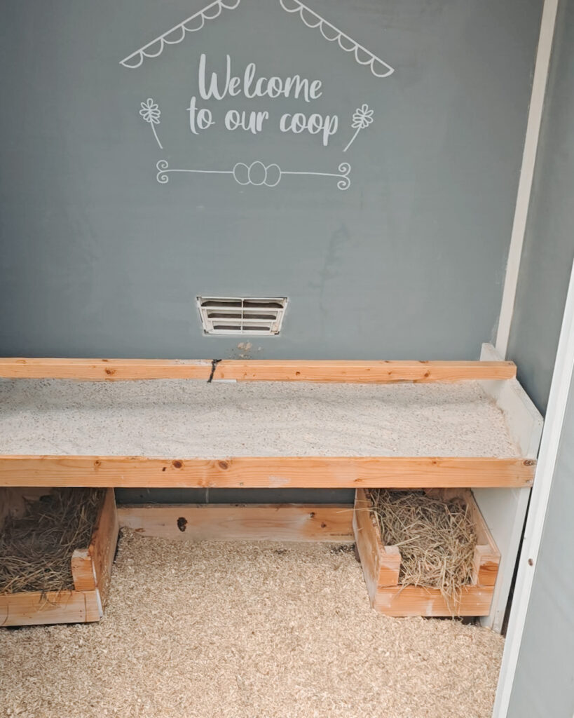 Kippenhok schoonmaken, schone bodembedekking