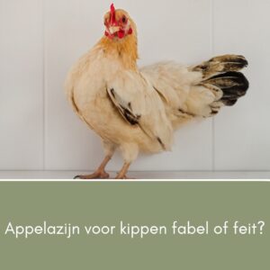 Appelazijn voor kippen fabel of feit