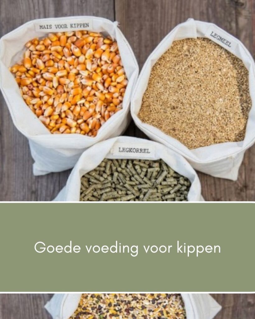 Goed voer voor kippen