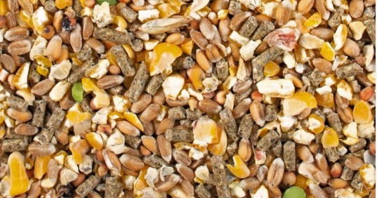 Gemengde legkorrel