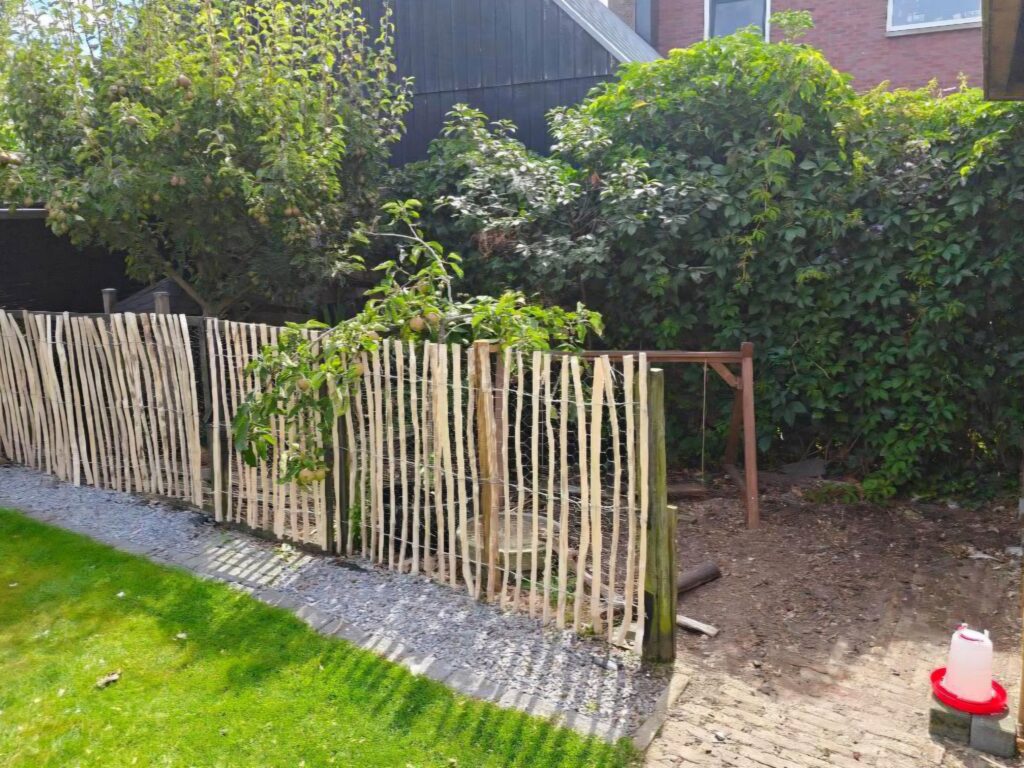 Fruitboompjes geven schaduw en fruit 
