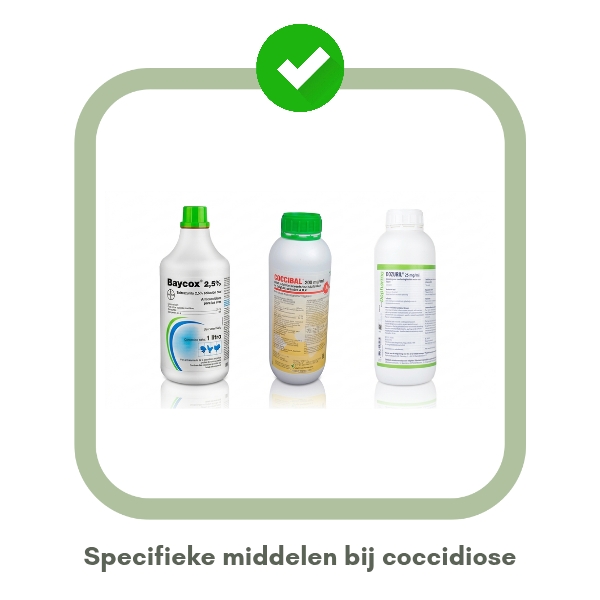 Welke middelen gebruik je bij coccidiose
